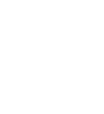 Say About Us logo